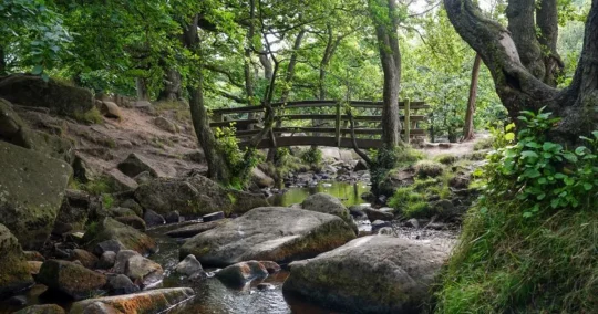 Padley Gorge