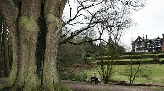 ladybrook valley