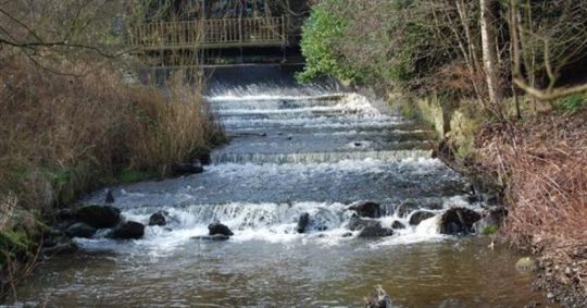 bollin valley